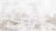 Neutral Japandi Grunge