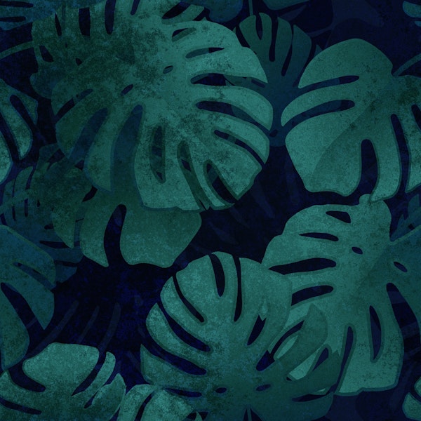 Tropical Monstera Leaf