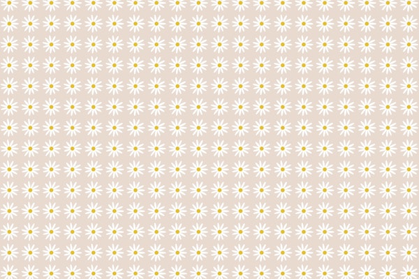 Minimalist Boho Daisy Pattern