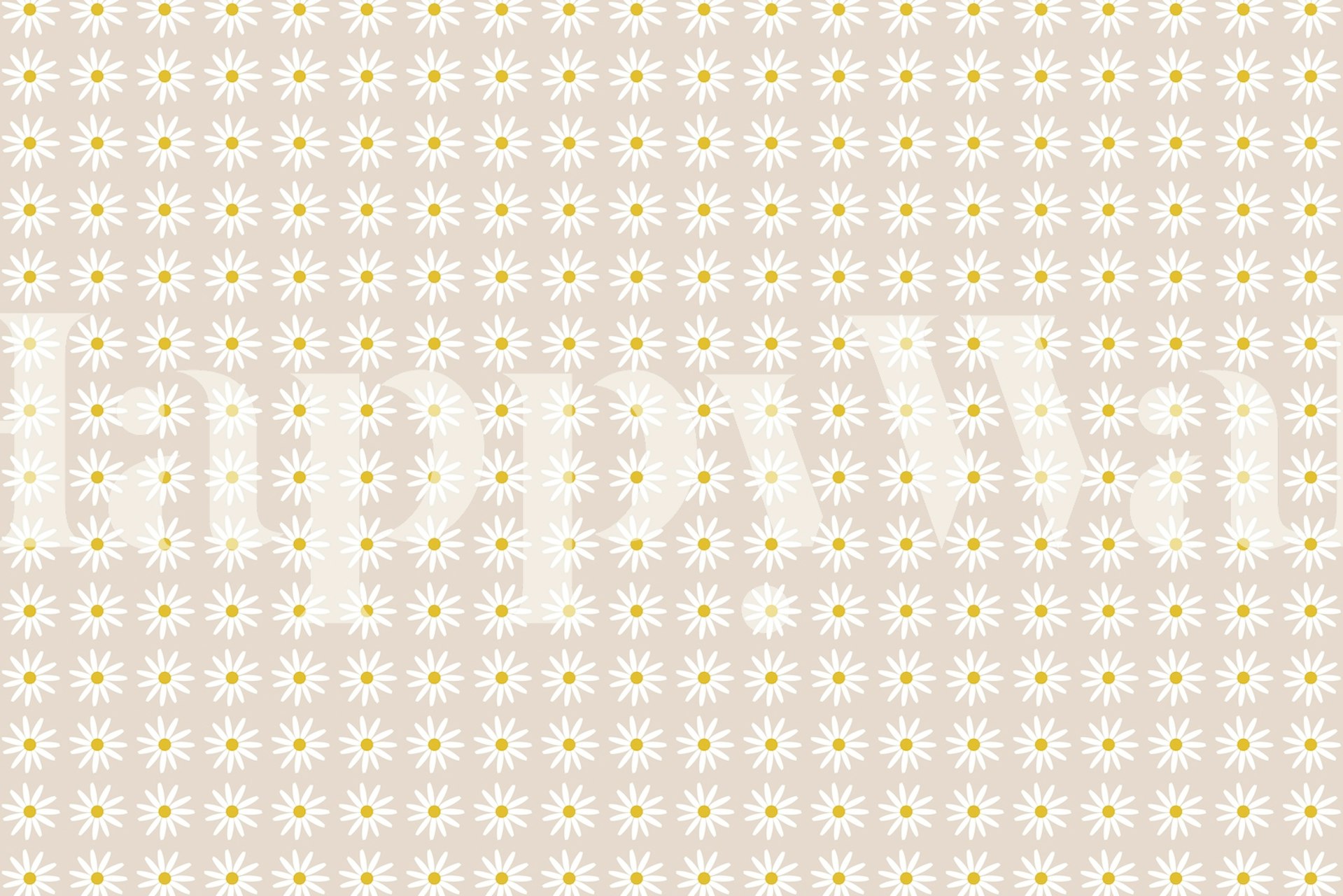 Minimalist Boho Daisy Pattern wallpaper in a room