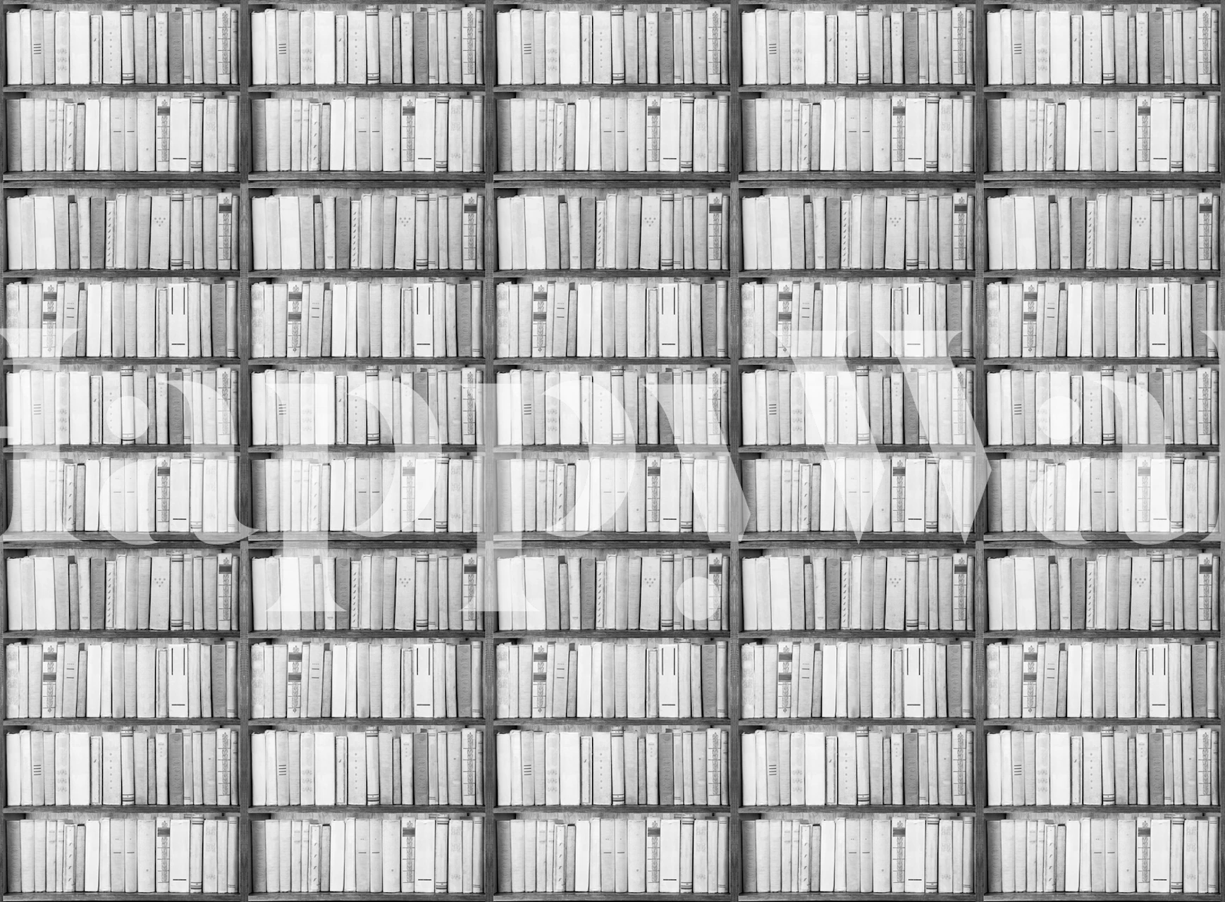 Black and white bookshelf pattern wallpaper
