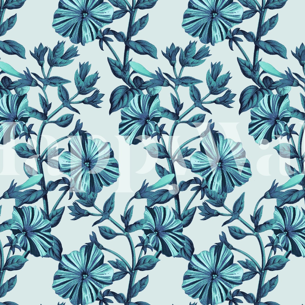 Fototapeta Modré květy svlačec na světlém pozadí