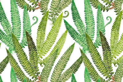Mural