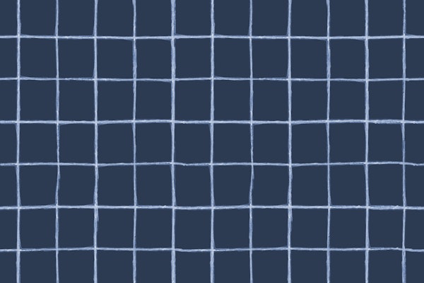 Watercolor Check in Indigo
