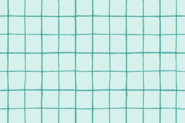 Watercolor Check in Mint