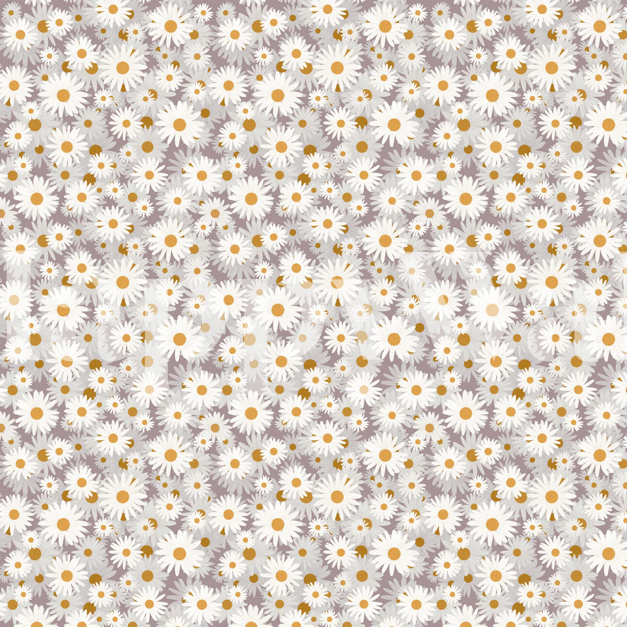 Tapeta White Daisies u sobi