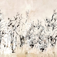 Japan Bamboo Landscape carta da parati