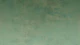 Green Crayon Shades