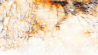 Coral Reef Landscape tapeta