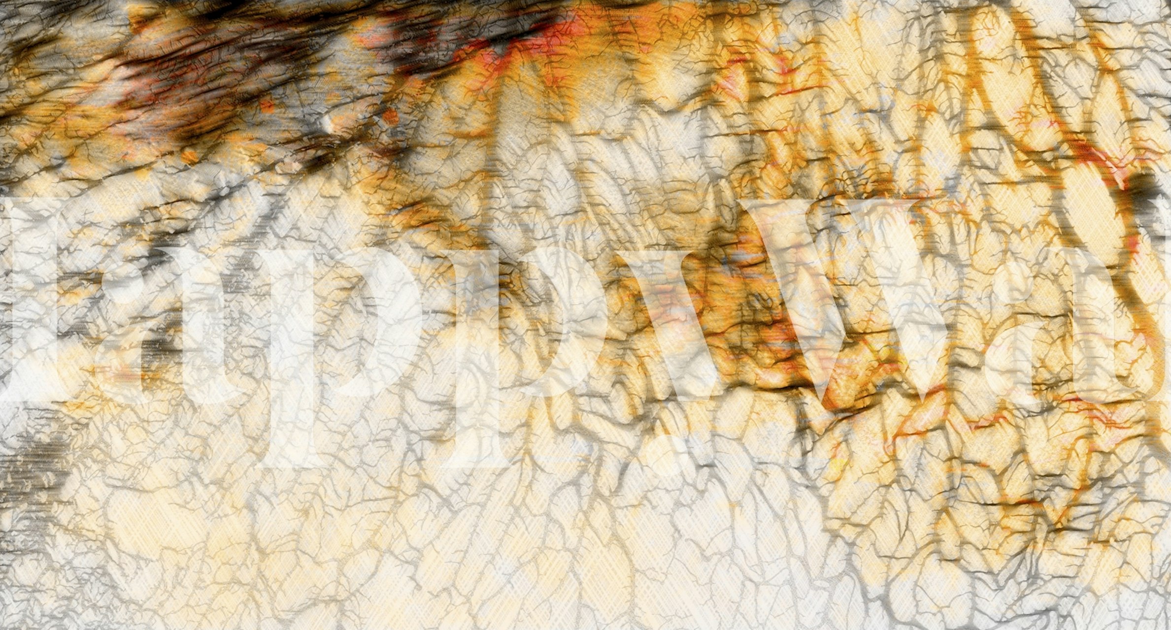 Tapeta Golden Coral Reef w pokoju