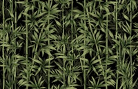 Nature Beauty Bamboo Emerald carta da parati