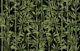 Nature Beauty Bamboo Emerald