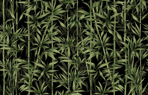 Nature Beauty Bamboo Emerald
