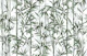 Nature Beauty Green Bamboo