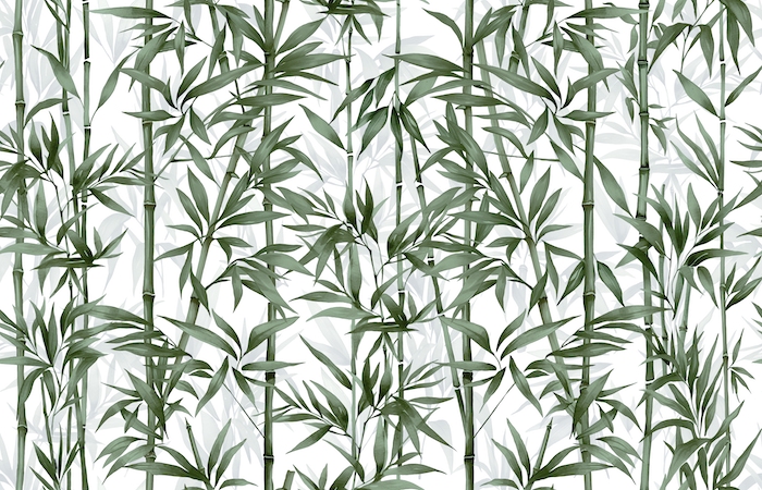 Bamboo Background Vector Art & Graphics | freevector.com