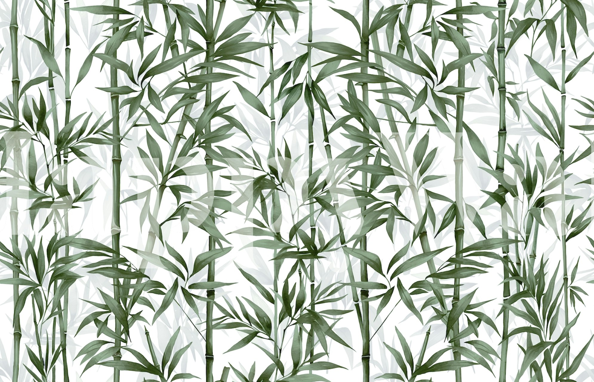 Green bamboo leaves on white background wallpaper
