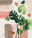Monstera Summer Glam 1