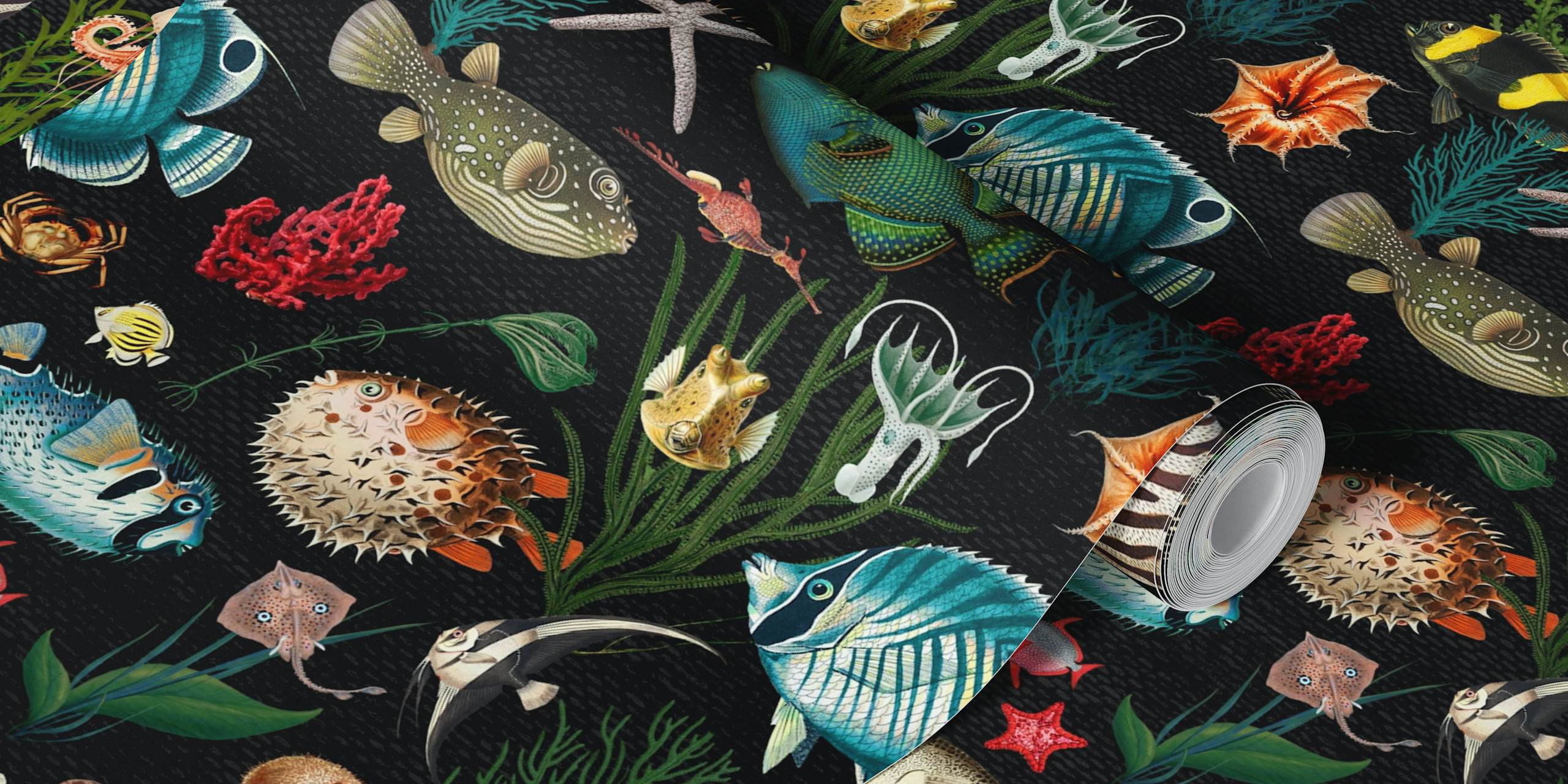 Colorful underwater marine life fishes and corals wallpaper