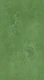 Grunge Damask Pattern Aplle Green