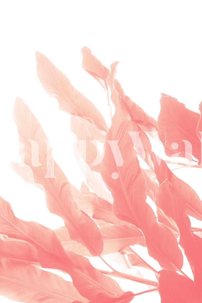 Tropical banana leaves in peach tones wallpaper