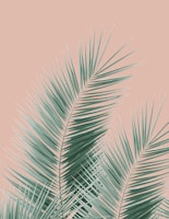 Soft Green Palm Leaves Dream 1 ταπετσαρία