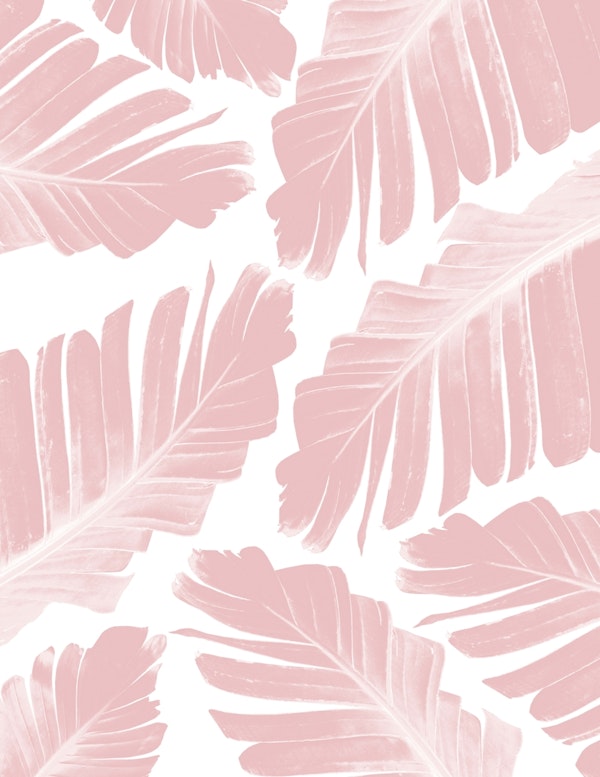 Blush Banana Leaves Dream 11