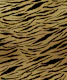 Tiger Animal Print Glam 1