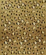Leopard Animal Print Glam 1