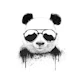 Stay Cool