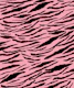 Tiger Animal Print Glam 2