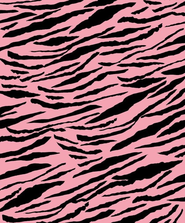 Tiger Animal Print Glam 2