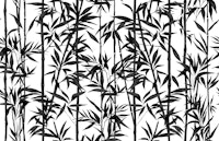 Bamboo Black And White tapete