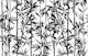 Bamboo Black And White