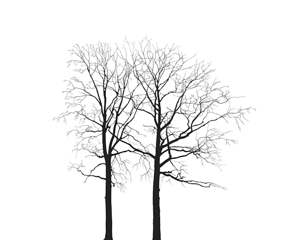 Tree Silhouette Black And White