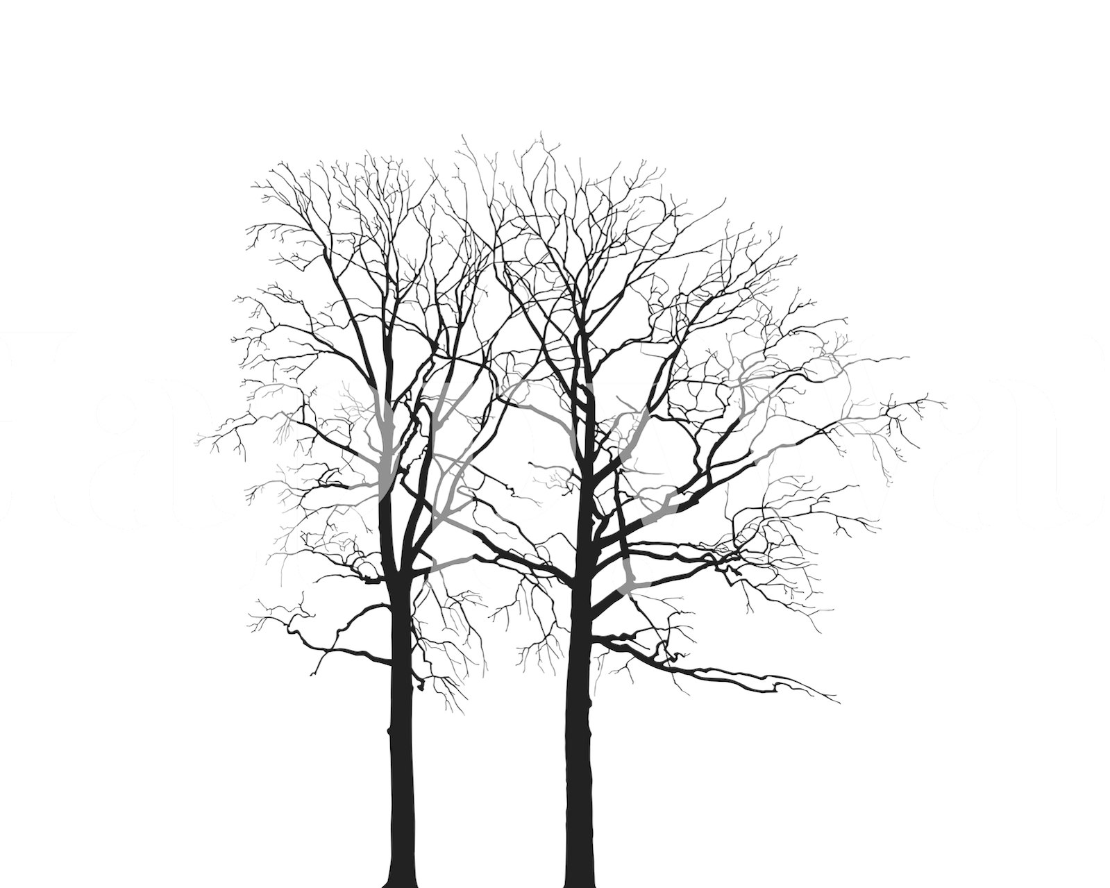 Black and white tree silhouette wallpaper