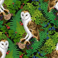 Owls, ferns, oak and berries tapety