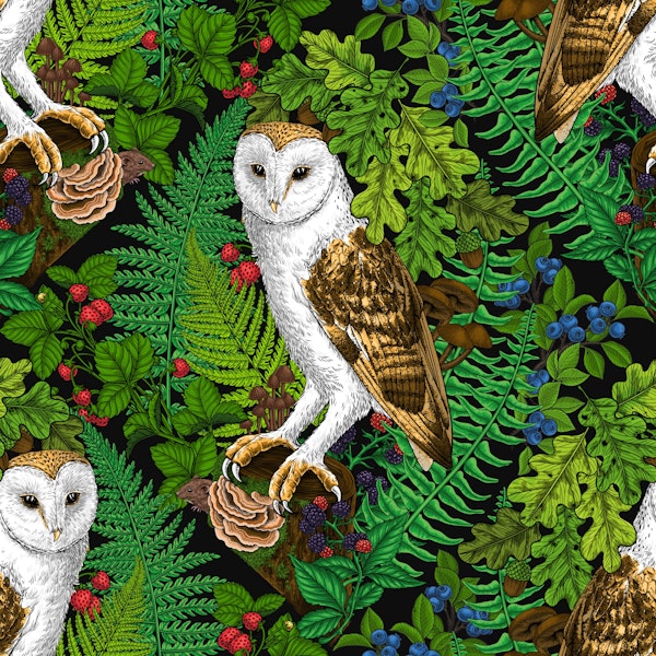Owls, ferns, oak and berries