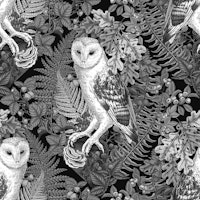 Owls, ferns, oak and berries, monochrome, black ,gray and white tapety
