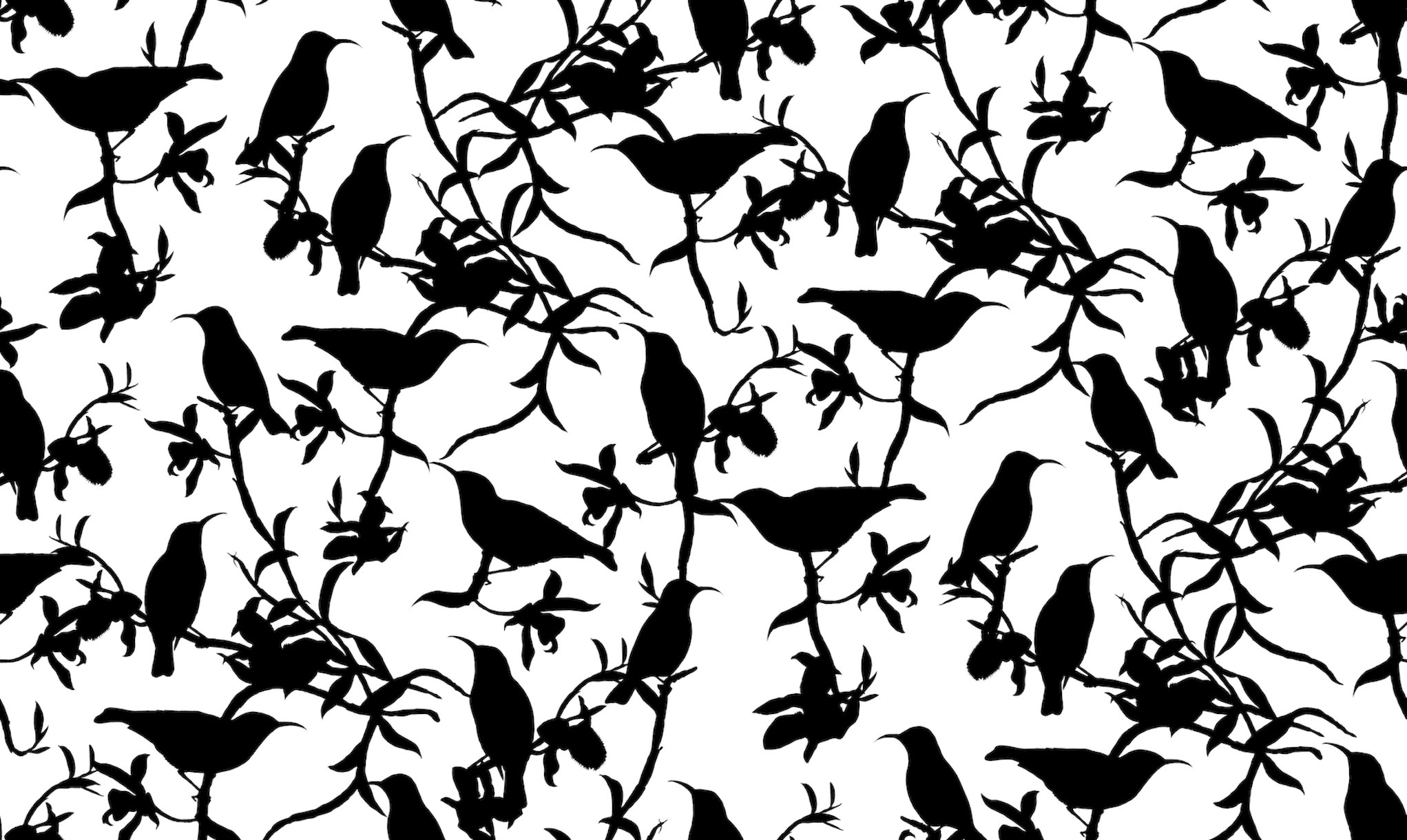 Hummingbird Chinoiserie Black White wallpaper | Happywall