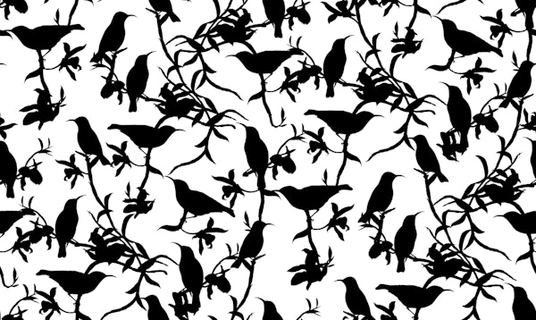 Hummingbird Chinoiserie Black White