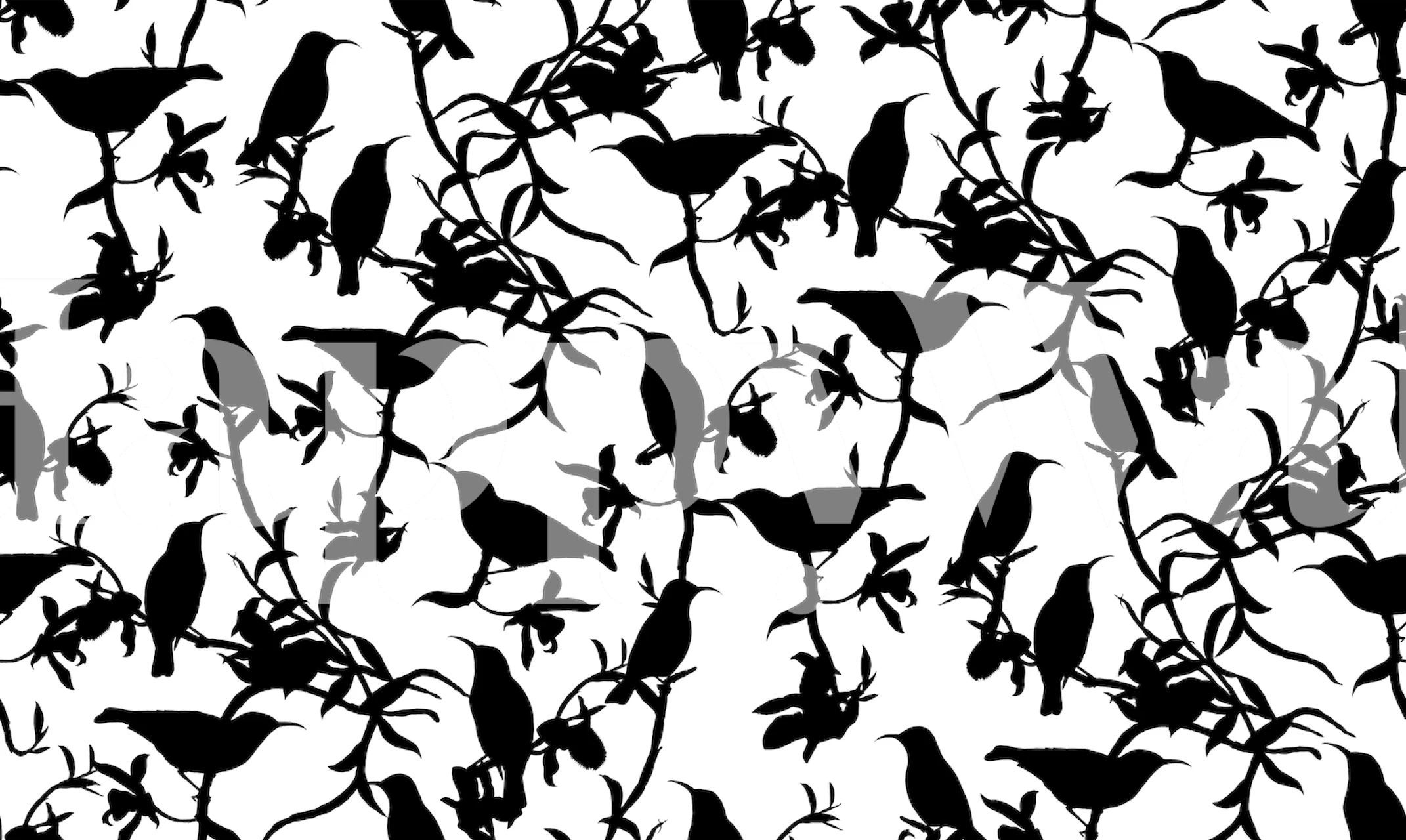 Black and white hummingbird chinoiserie pattern wall mural at Happywall