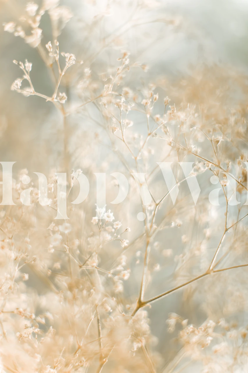 Flower Dreams blomster tapet i et rom