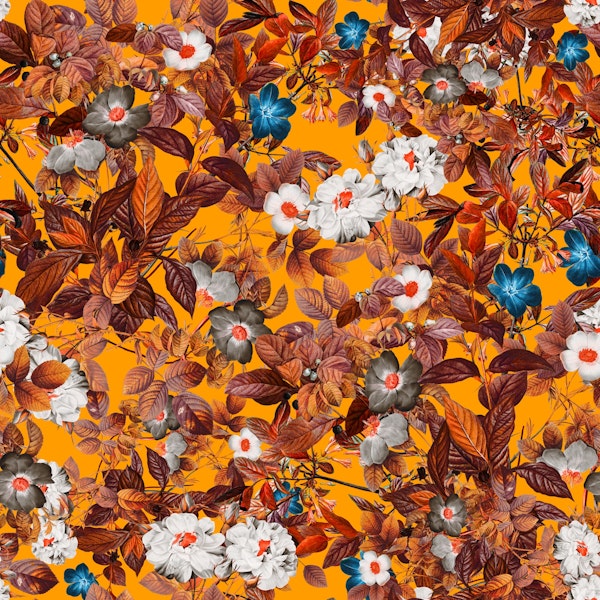 Summer Exotic Garden