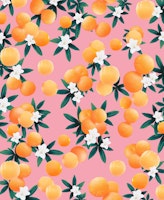 Orange Twist Flower Vibes 4 tapety