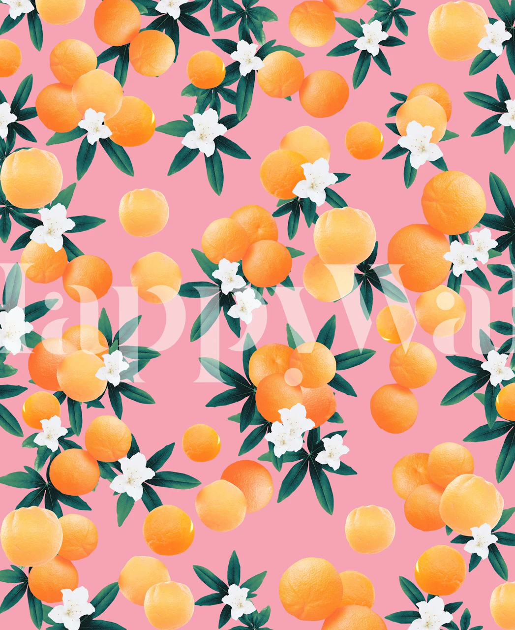 Fotobehang met oranje citrusvruchten, witte bloemen en groene bladeren op een roze achtergrond