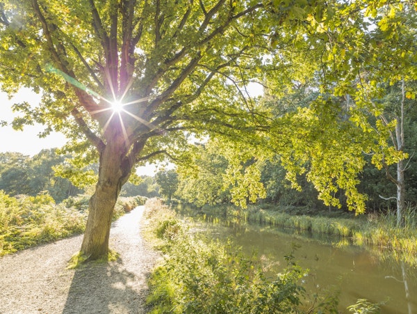 Canal on a summer's day
