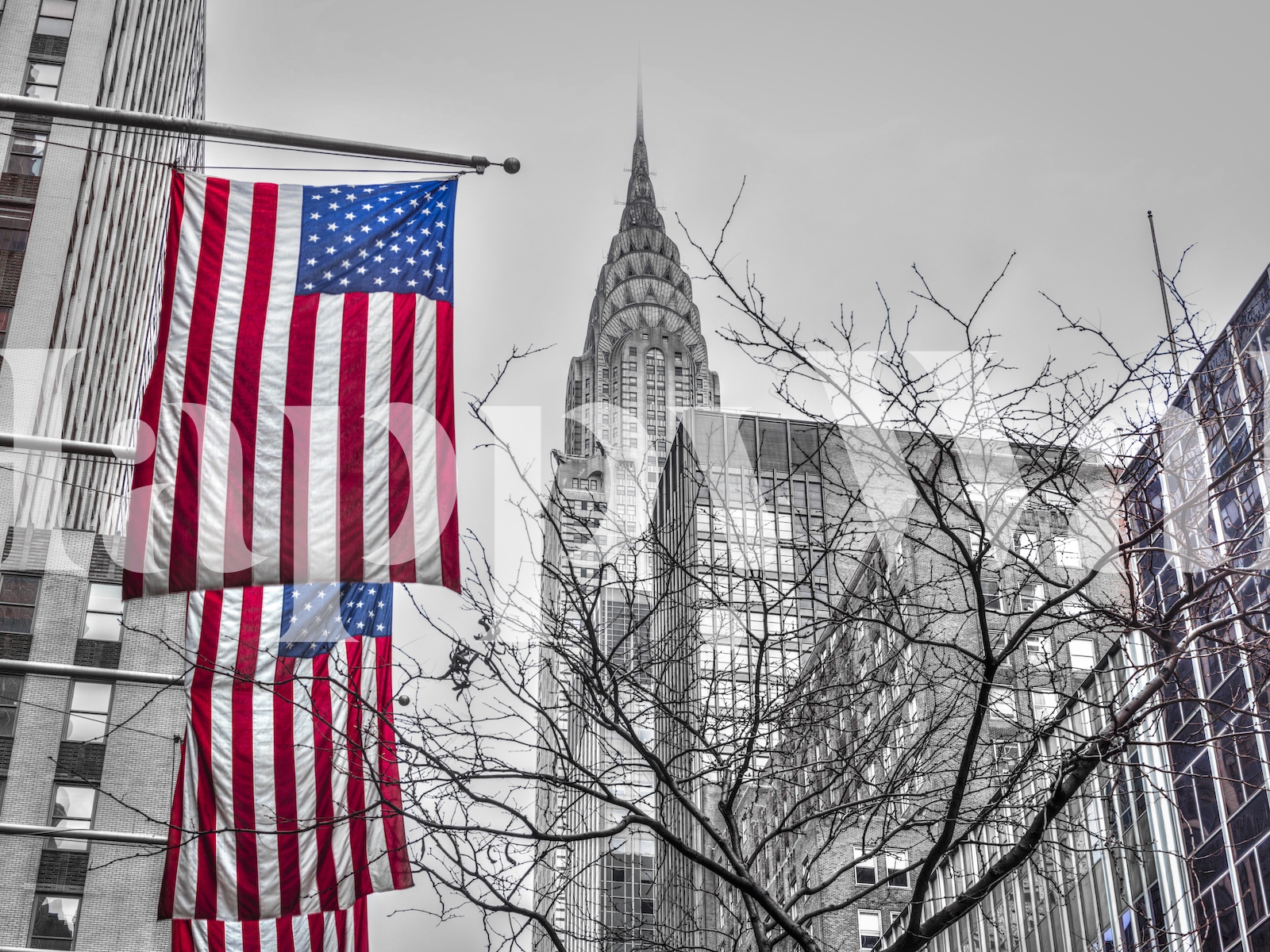 Buy the Chrysler Building in New York Wallpaper Online Happywall