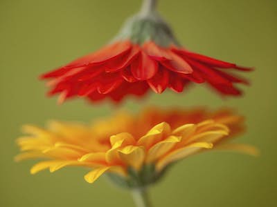 Τοιχογραφία