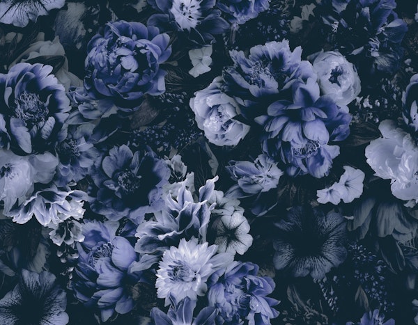 Floral Baroque Opulence Navy Blue