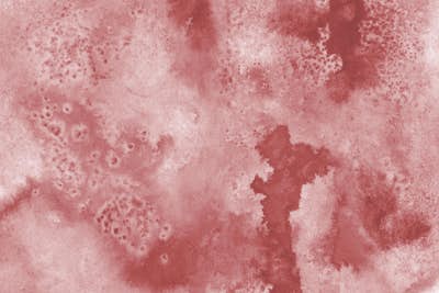 Τοιχογραφία